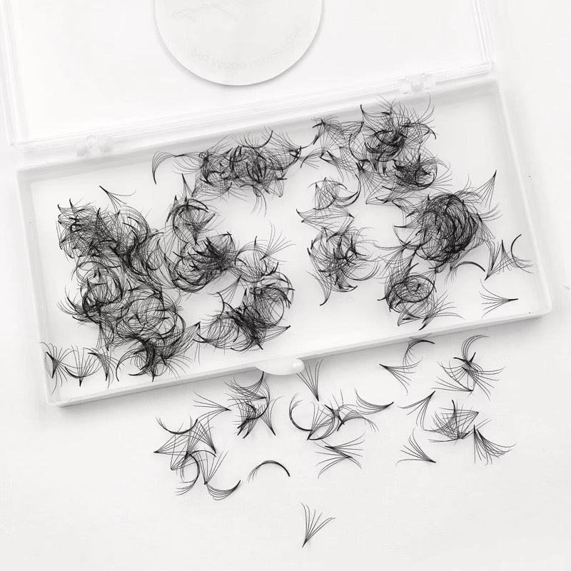 6D PROMADE LOOSE FANS - 500 FANS