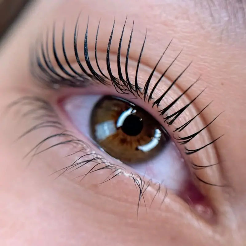 Korean Lash Lift - In Person